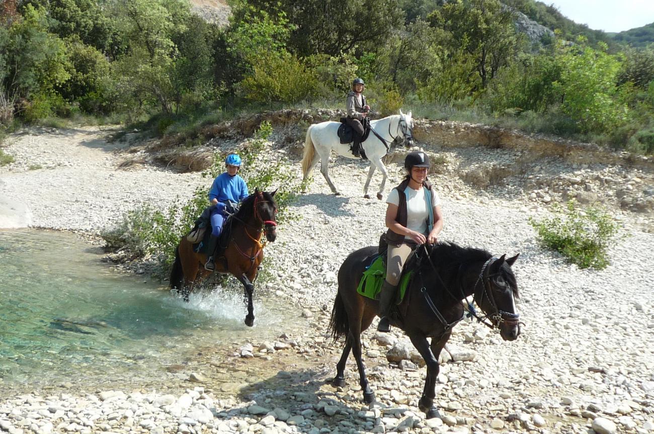 53l_Ferme equestre Le Relais de Vazeille.jpg